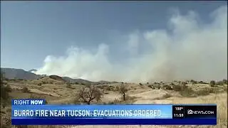 Burro Fire in Tucson: Evacuation ordered