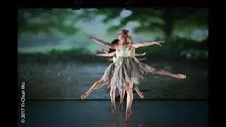Raindrops (Water) from Elements by Neville Dance Theatre