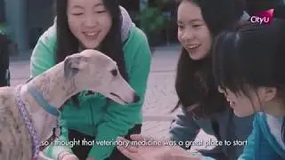 Bachelor of Veterinary Medicine Programme