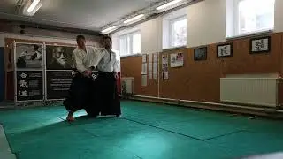 [TUTORIAL] Aikido:Tsuki iriminage