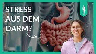 LPS, Darm & Gehirn: Warum Dein Darm Dein System steuert | Stress, Hormone & Insulin