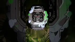 GX-56SS / The graffiti King