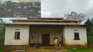 A Tour Inside an old coffee processing plant in my village/African village life