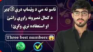 Top 3 Useful WhatsApp Numbers | Easy and Ready to Use