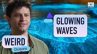 Glowing Waves: What Causes This Neon Blue Glow? | Weird: Oceans | ABC Science