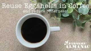 Reuse Eggshells in Coffee and Reduce Bitterness!