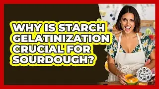 Why Is Starch Gelatinization Crucial For Sourdough? - The Skillful Chef
