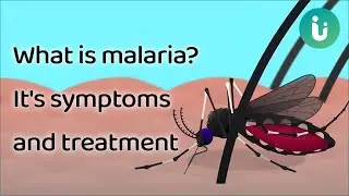 What is malaria, why it happens, it's symptoms and treatment | 2D Animation