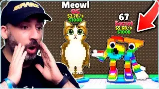 RUBO i BRAINROTS SECRET ma DEVO SCAPPARE dallo TSUNAMI su ROBLOX