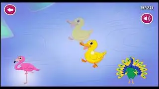@cartons video. Patching 🦆🦢🦆🦢🦆🦅🕊🐧🐦🦤🐦&zwj;⬛