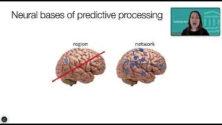 Inside the Predictive Brain: Neuroimaging Insights into Brain Circuitry in FND