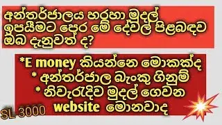 internet money sinhala - sl 3000