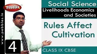 Rules Affect Cultivation : Livelihoods Economics and Societies | Social | CBSE Syllabus | Class 9