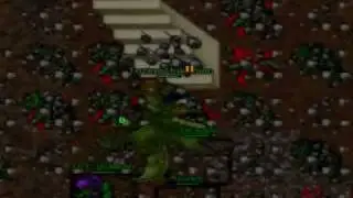 Las aventuras de  Tozino Unknown, Orc Fortress, Tibia