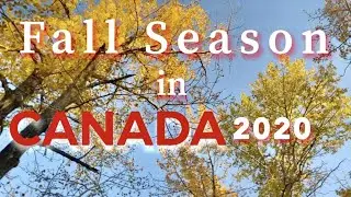 Fall Season in CANADA 2020.