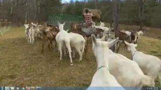Working Lands Enterprise Initiative Webinar - Chapter 1