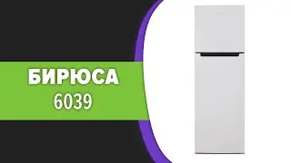 Холодильник Бирюса 6039