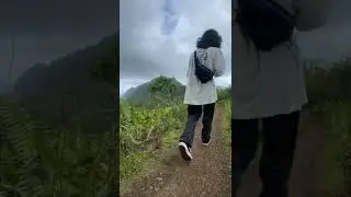 Highlights of my trip to Hawaii 🌊