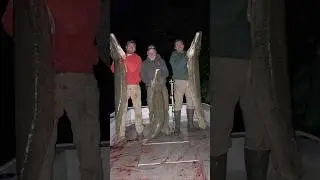 Captain John had a solid night with our Minnesota crew. #gatorgar #bowfish #airboat