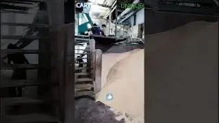 CARTER UNIQUE COLOR SORTER MACHINE | BROCKEN FULL PRODUCTION | RAW AND SELLA, STEAM| YOUTUBE SHORTS