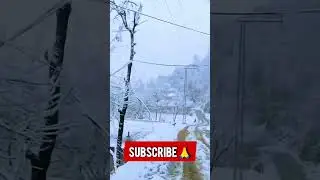 Winter Wonderland: The Hidden Beauty of Shangla Alpuri