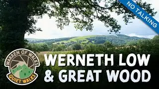 Quiet Woodland Walking Tour🌳with Summer Birdsong 🐦&zwj;⬛ Great Wood & Werneth Low