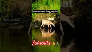 glacier national park montana usa in 4k (ultra hd)#foryou #facts #america #shortsfeed