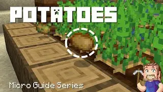 Potatoes - Minecraft Micro Guide