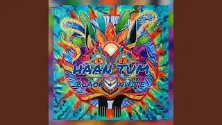 HAAN TUM