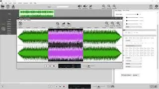 How to Add Audio to your Show in the Director Software