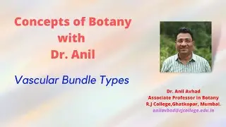 Vascular Bundle Types