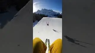 ГоПро: Кошка на лыжах в погоне