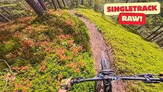 Ultimate Single-Track MTB Trails - RAW!!