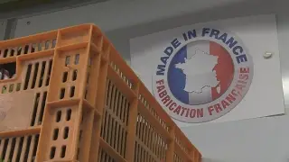 'Made in France': Is economic patriotism financially viable?