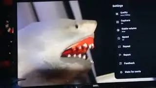 SHARK PUPPET MEETS PENNYWISE FROM IT!!!!!!
