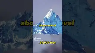 The World's Tallest Mountain ⛰️