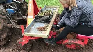 2 row strawberry planter