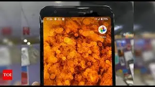 Google Photo New Feature  Google Photos new feature can turn your Android phone into a live photo f