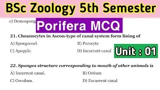 Porifera MCQ | BSc 3rd Year Zoology MCQ | Unit 1 | 5th Semester MCQ