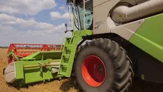 Żniwa 2018, jęczmień ozimy Hyvido&trade;, Obsza, lubelskie