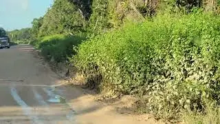 Miles before pavement  Corozal Town Belize 