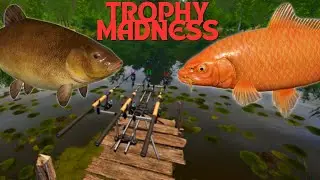 TROPHY MADNESS IN COPPER LAKE! 5 TROPHIES & 1.5K IN 2 HOURS! #971 Russian fishing 4