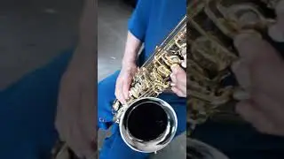 Sax Alto Eagle SA 501  Preto Onix