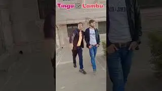 lambu vs tingu 😜❤️🤣 #youtube #youtubeshorts #video #shortvideo #trendingshorts #reels #shorts #song