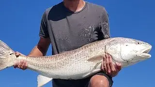 Charleston SC folly Beach redfish red drum surf fishing