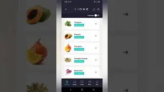 Deep dive in my gut health test with VIOME