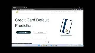 Credit card default prediction project deom video