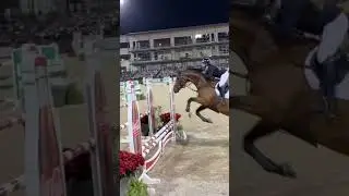 Beautiful brown horse 🐎 #fypシ  #tryon  #tryonequestriancenter #horseriding