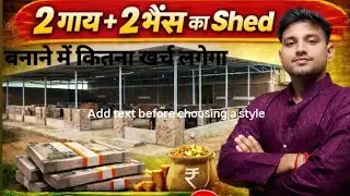 👉 2 Gaay 2 Bhains Ka Shed Banane Ka Kharcha | Dairy Shed Cost | Desi Dairy Guide