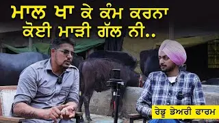 ਮਾਲ ਖਾ ਕੇ ਕੰਮ ਕਰਨਾ ਕੋਈ ਮਾੜੀ ਗੱਲ ਨੀ..  ਰੇਡੂ ਡੇਅਰੀ ਫਾਰਮ / @RedduDairyFarm  Shuryaat / Dairy Farming